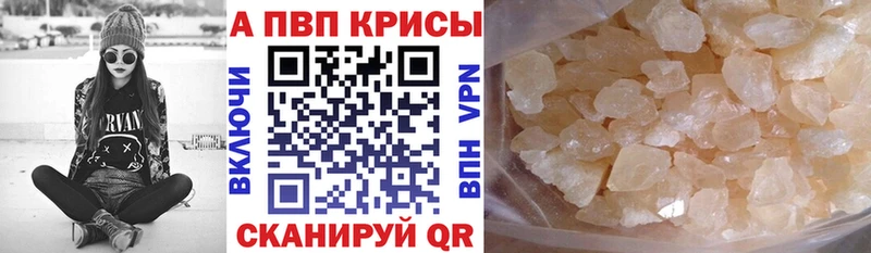 Купить  Шилка  APVP крисы CK 