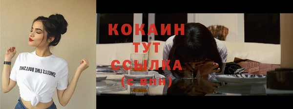 мдпв Семилуки