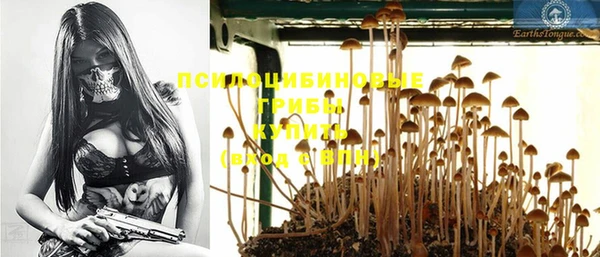 apvp Семикаракорск