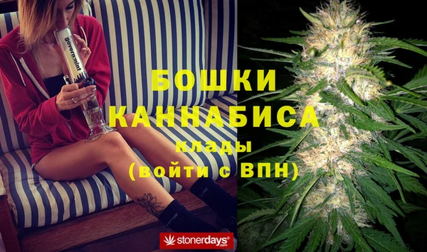 мдпв Семилуки