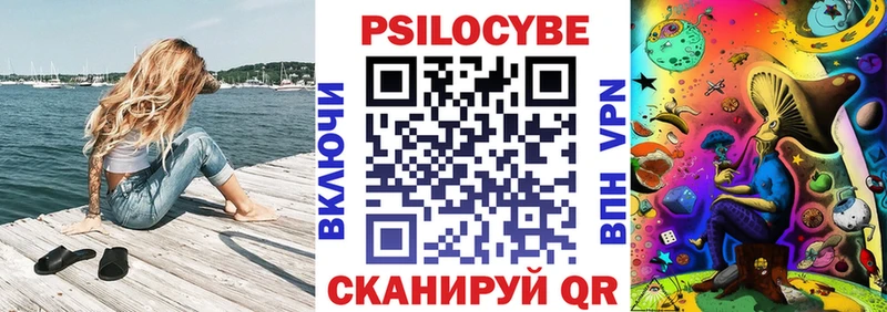 Купить где  Шилка  Псилоцибиновые грибы GOLDEN TEACHER 